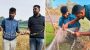 পটুয়াখালীতে ধানক্ষেত থেকে বিষধর শঙ্খিনী সাপ উদ্ধার