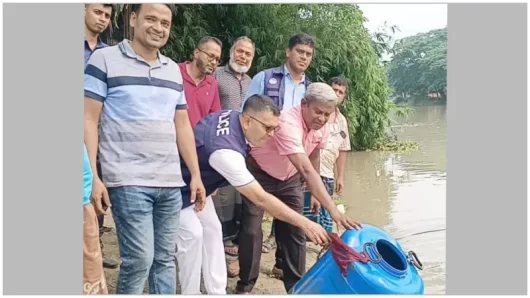 বরিশালে অর্ধকাটি টাকার চিংড়ি রেনু জব্দ, আটক-২