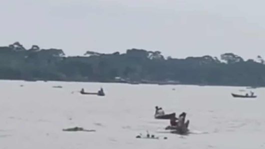 বরিশাল প্রজনন মৌসুমেও থামছে না মা ইলিশ শিকার ও বিক্রি