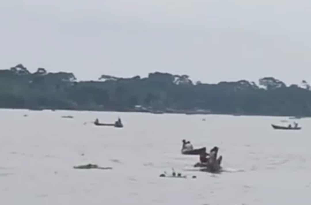 বরিশাল প্রজনন মৌসুমেও থামছে না মা ইলিশ শিকার ও বিক্রি